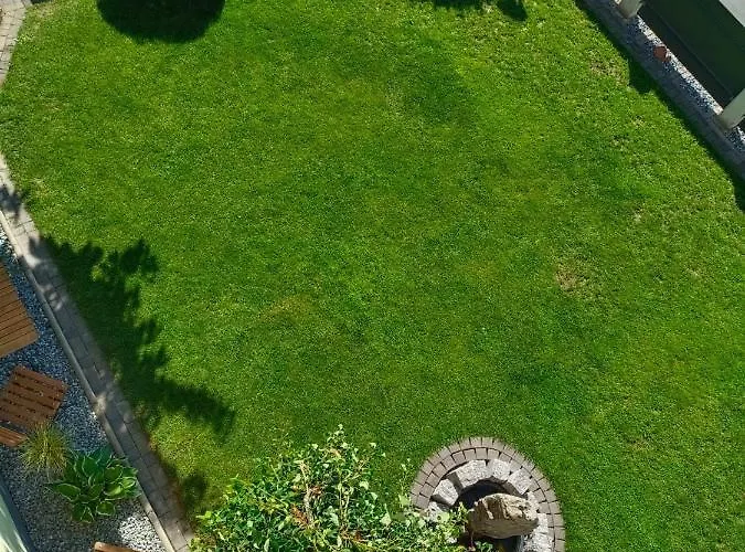 Schranz * Гринс